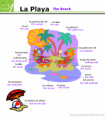 /album/photo-gallery-article-archive/the-beach-png3/
